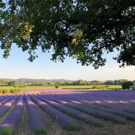 La Petite Plaine *